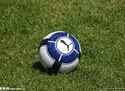 热刺欧冠新,星闪耀,首战佳话,2026世界杯,世界杯赛程,参赛球队,举办城市,最新消息