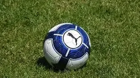 奥斯卡红毯社交亮相，神秘嘉宾身份引期待揭晓。