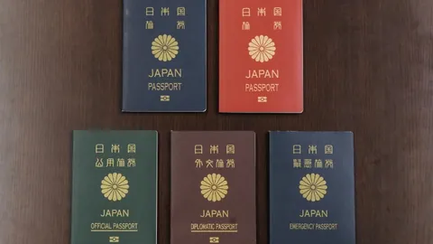 阿尔卡拉斯力克德米纳尔，鹿特丹站ATP决赛2025年圆满落幕