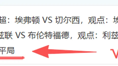 墨尔本胜利对阵惠灵顿凤凰：实力对比分析