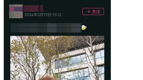 欧罗巴首回合4胜3，专家次回合预测信心十足